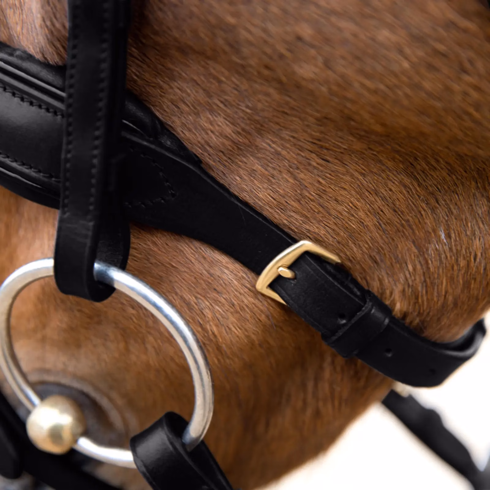Horze Lester Dressage Snaffle Bridle w/ Reins