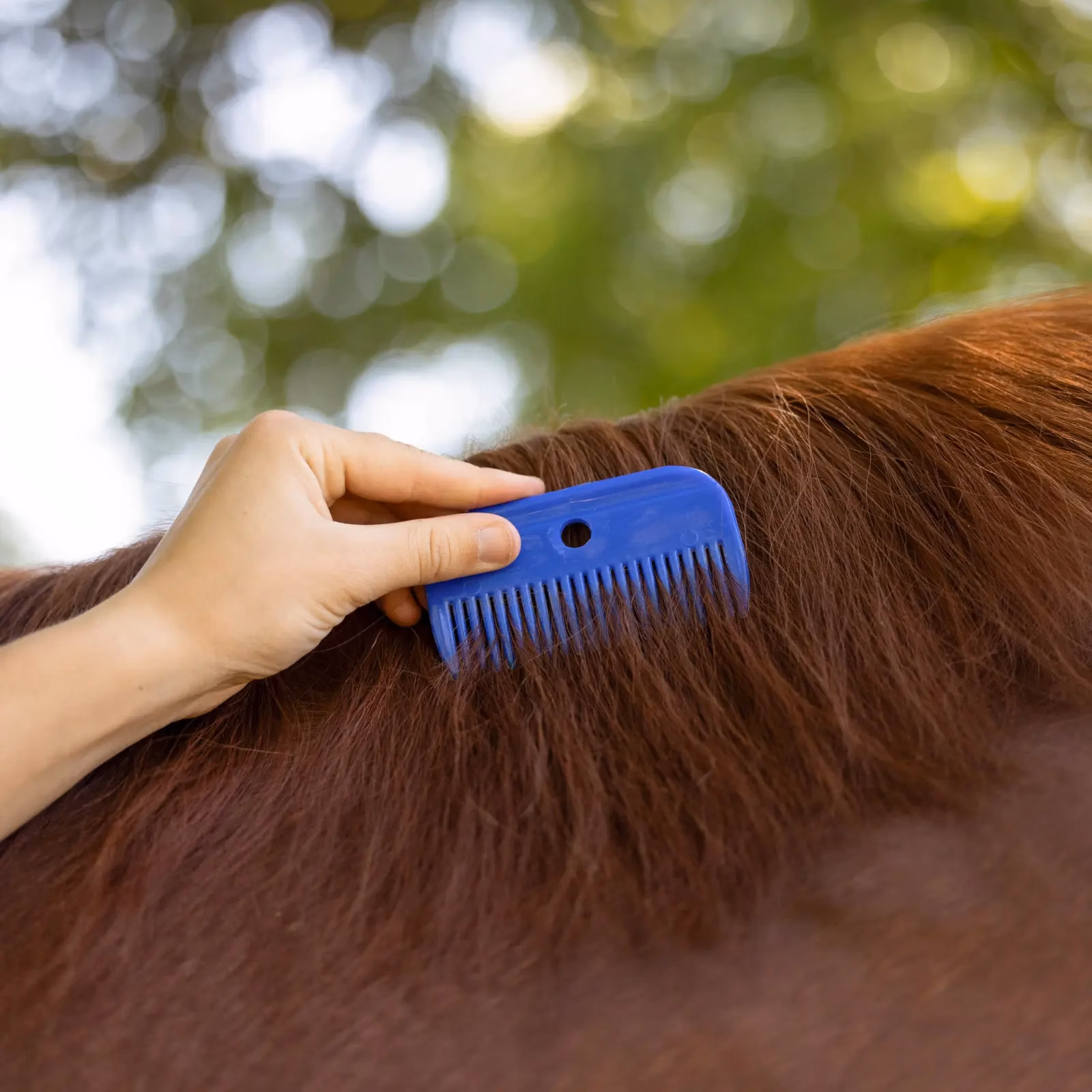 Horze Mane Comb - Plastic