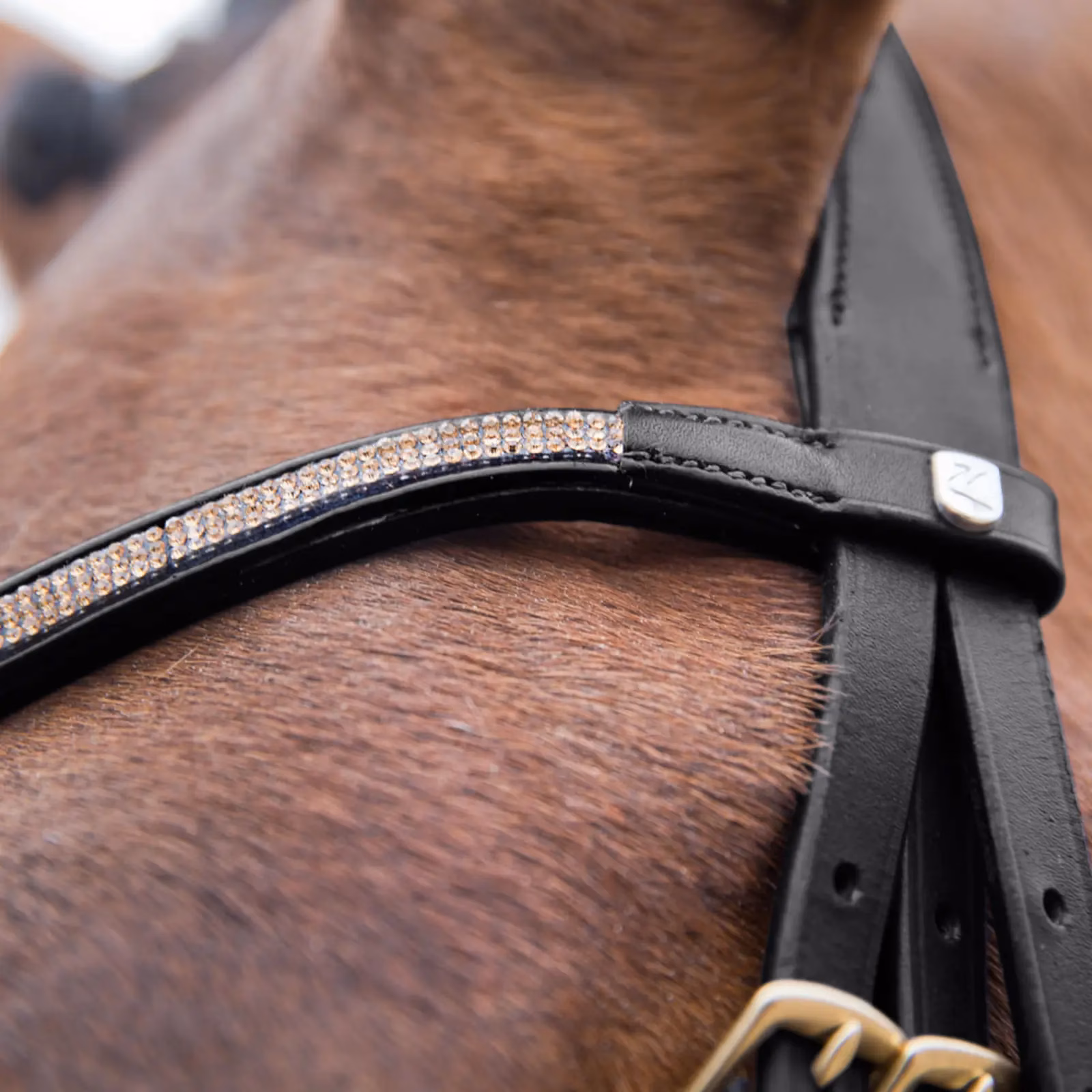 Horze Lester Dressage Snaffle Bridle w/ Reins