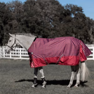Equinavia Arktis Regular Neck Mid-Heavy Weight Turnout Blanket