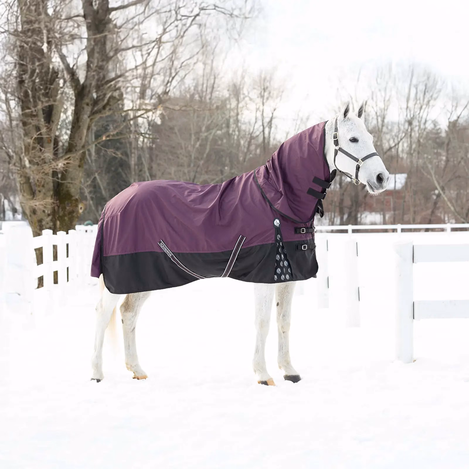 Equinavia Thunder 360 Detachable Neck Light Weight Turnout Blanket 100g