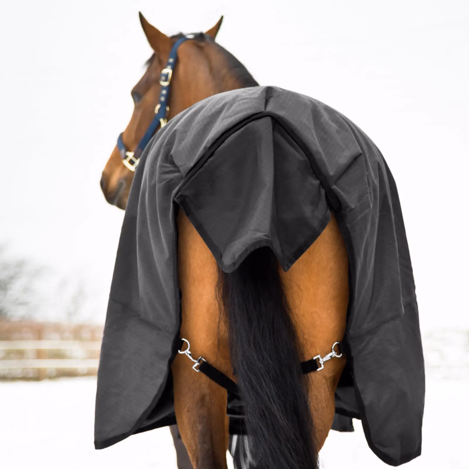 Horze Nevada Mid Weight Turnout Blanket 200g