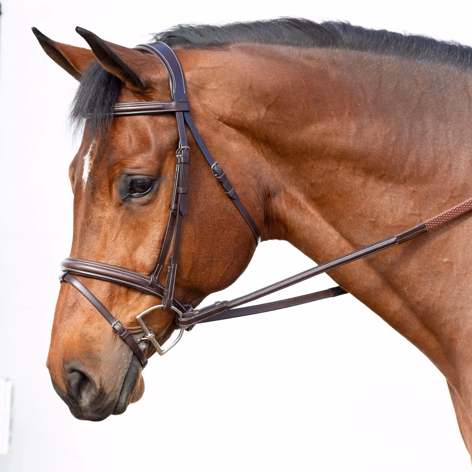 Equinavia Valkyrie Flash Bridle & Rubber Reins