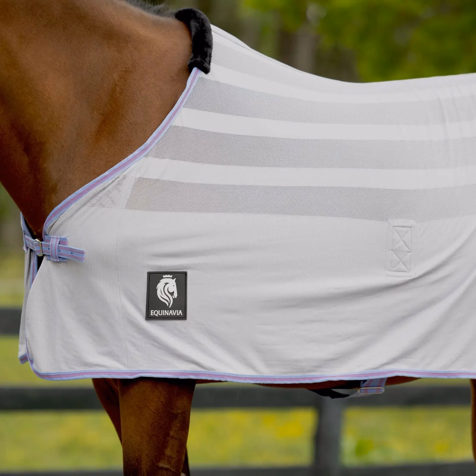 Equinavia Sefyr Scrim Sheet