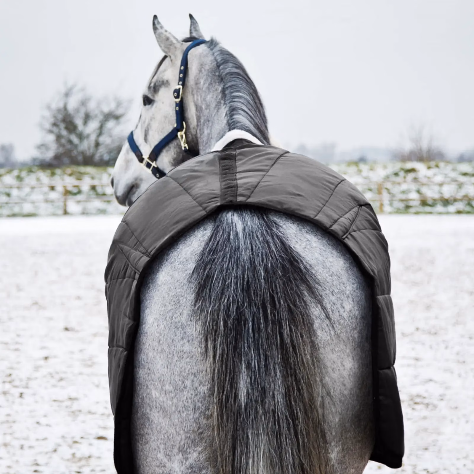 Horze Nevada Mid Weight Stable Blanket 200g