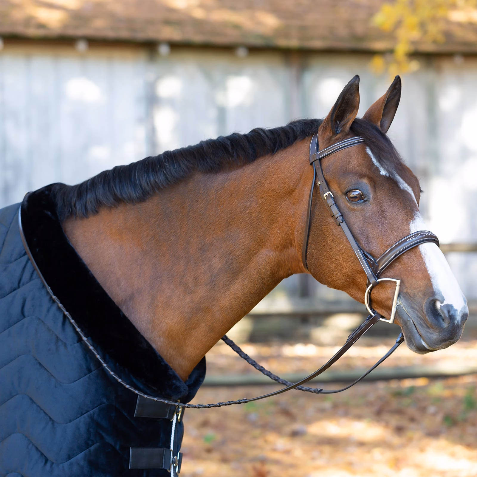 Equinavia Saga Wide Noseband Hunter Bridle with Reins