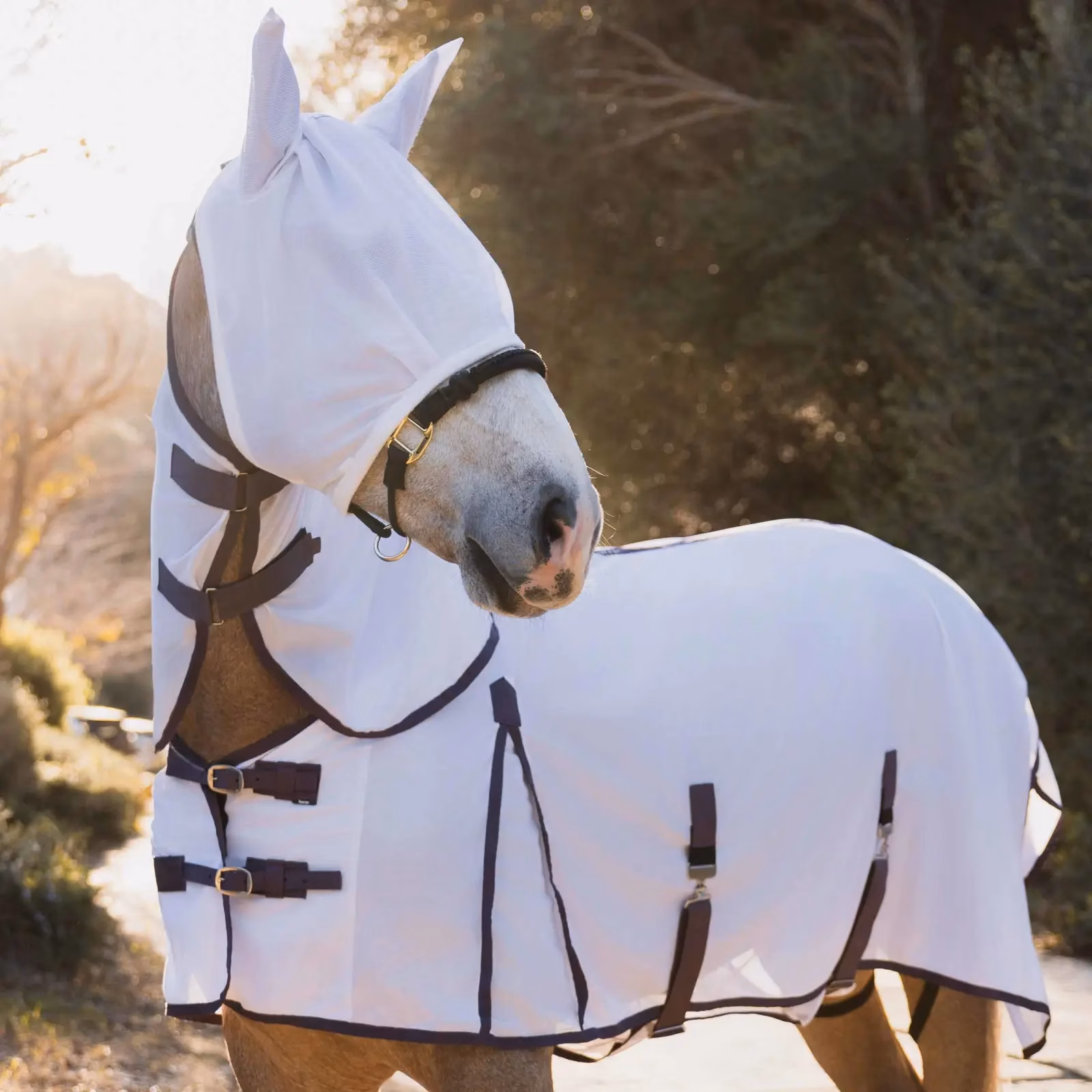 Horze La Paz Detachable Neck Fly Sheet with Fly Mask