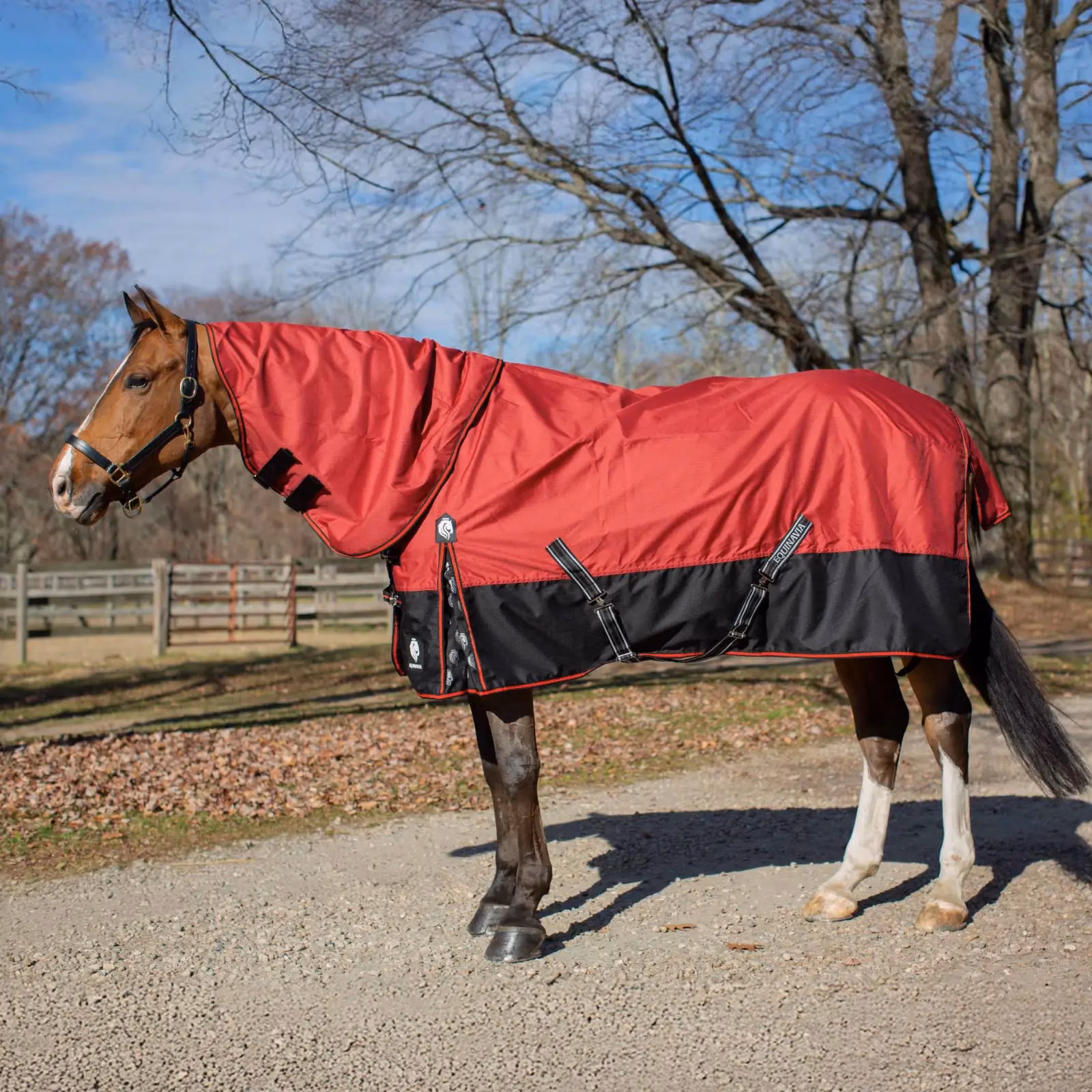 Equinavia Norse Light Weight Turnout Blanket 100g