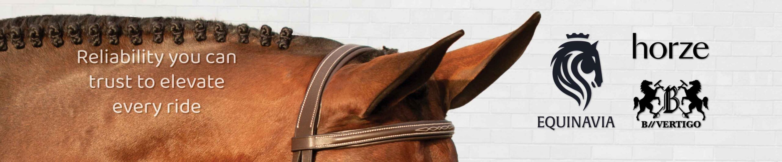 Horse Bridles & Reins banner