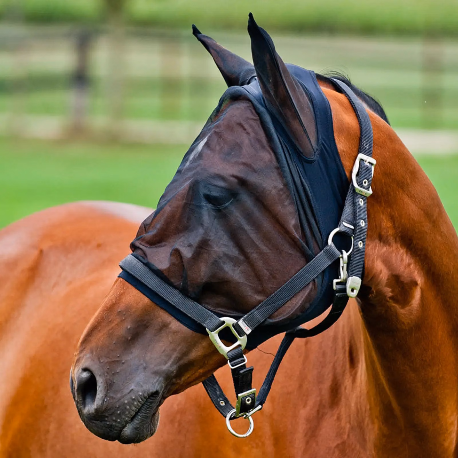 Horze Mesh Fly Mask with Spandex