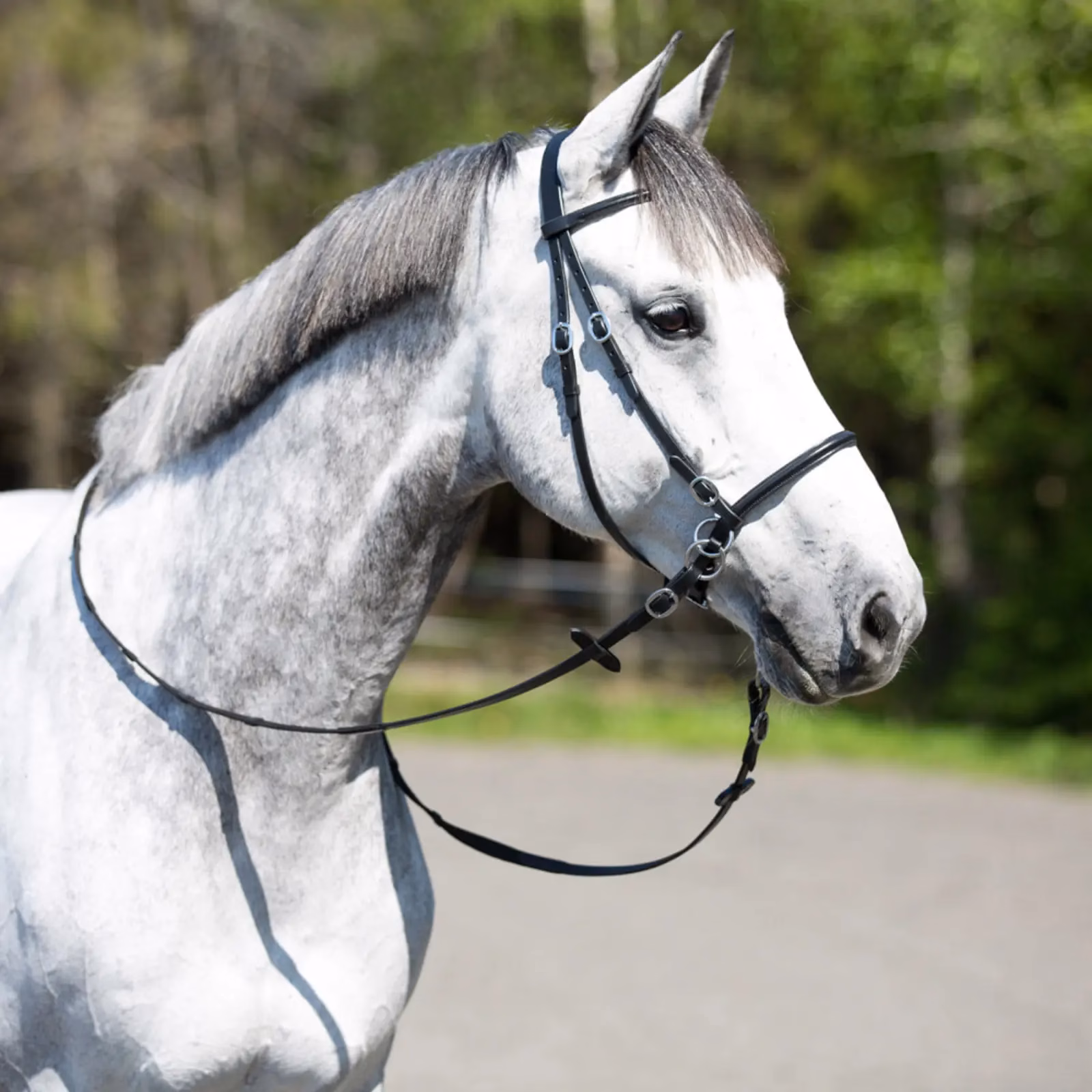 Horze Leather Bitless Bridle