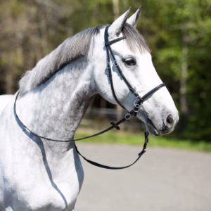 Horze Leather Bitless Bridle