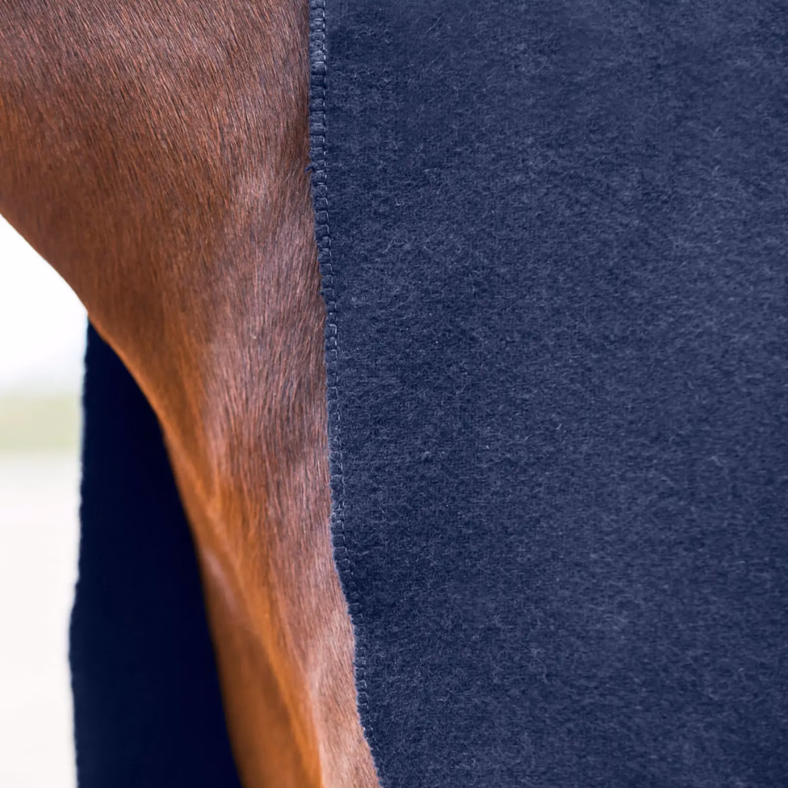 Horze Vail Square Wool Cooler