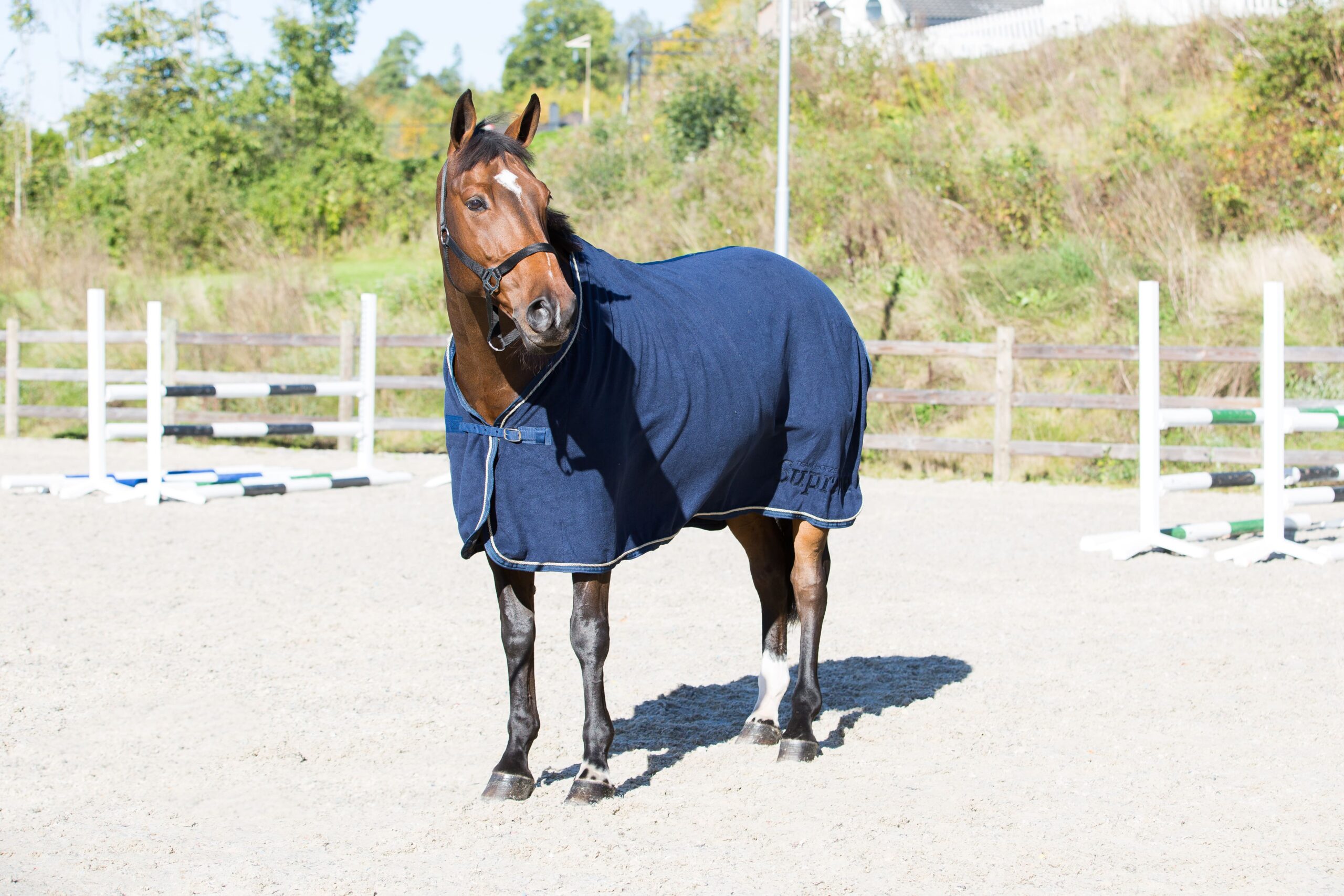 Horse standing in jumper arena wearing fleece blanket