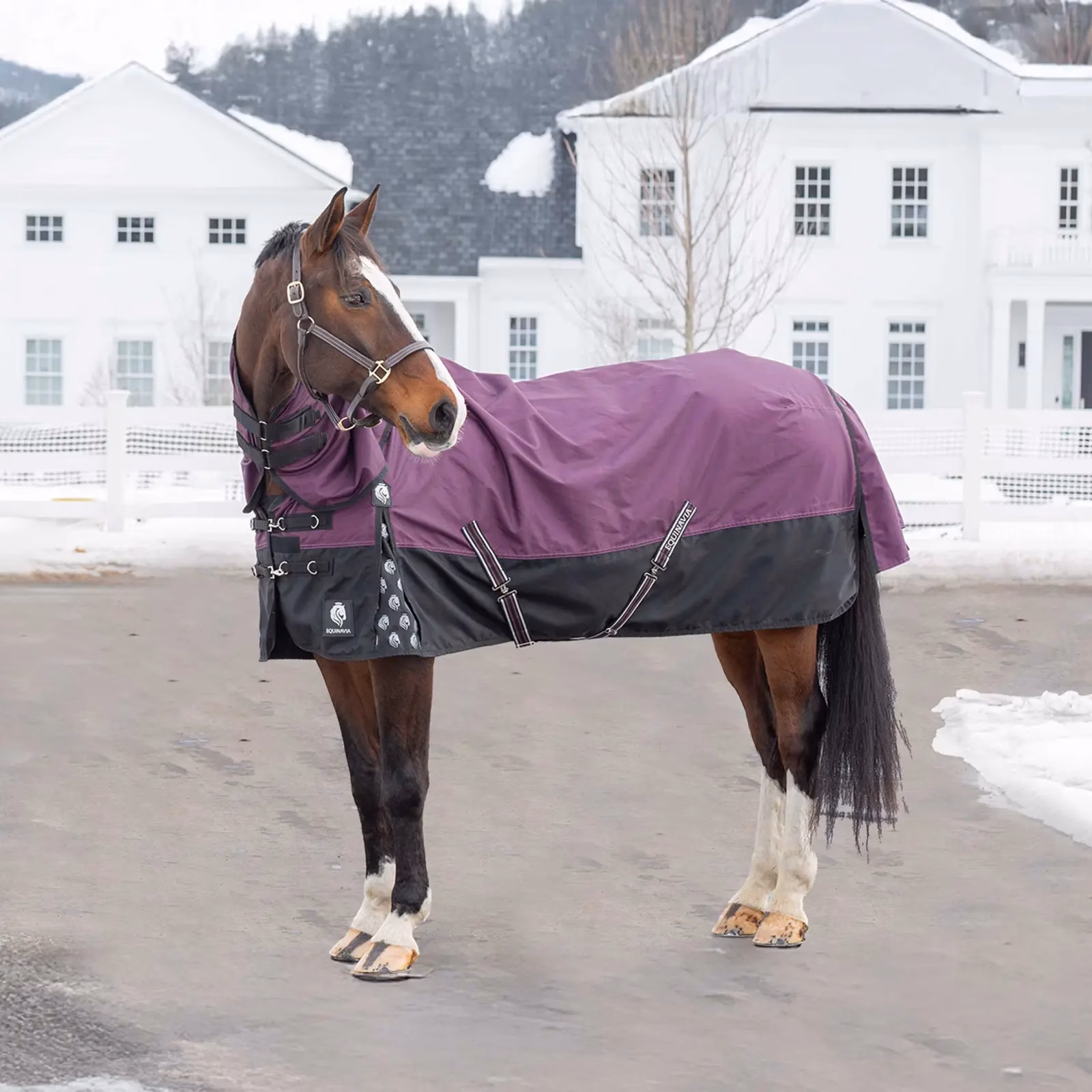 Equinavia Thunder 360 Detachable Neck Light Weight Turnout Blanket