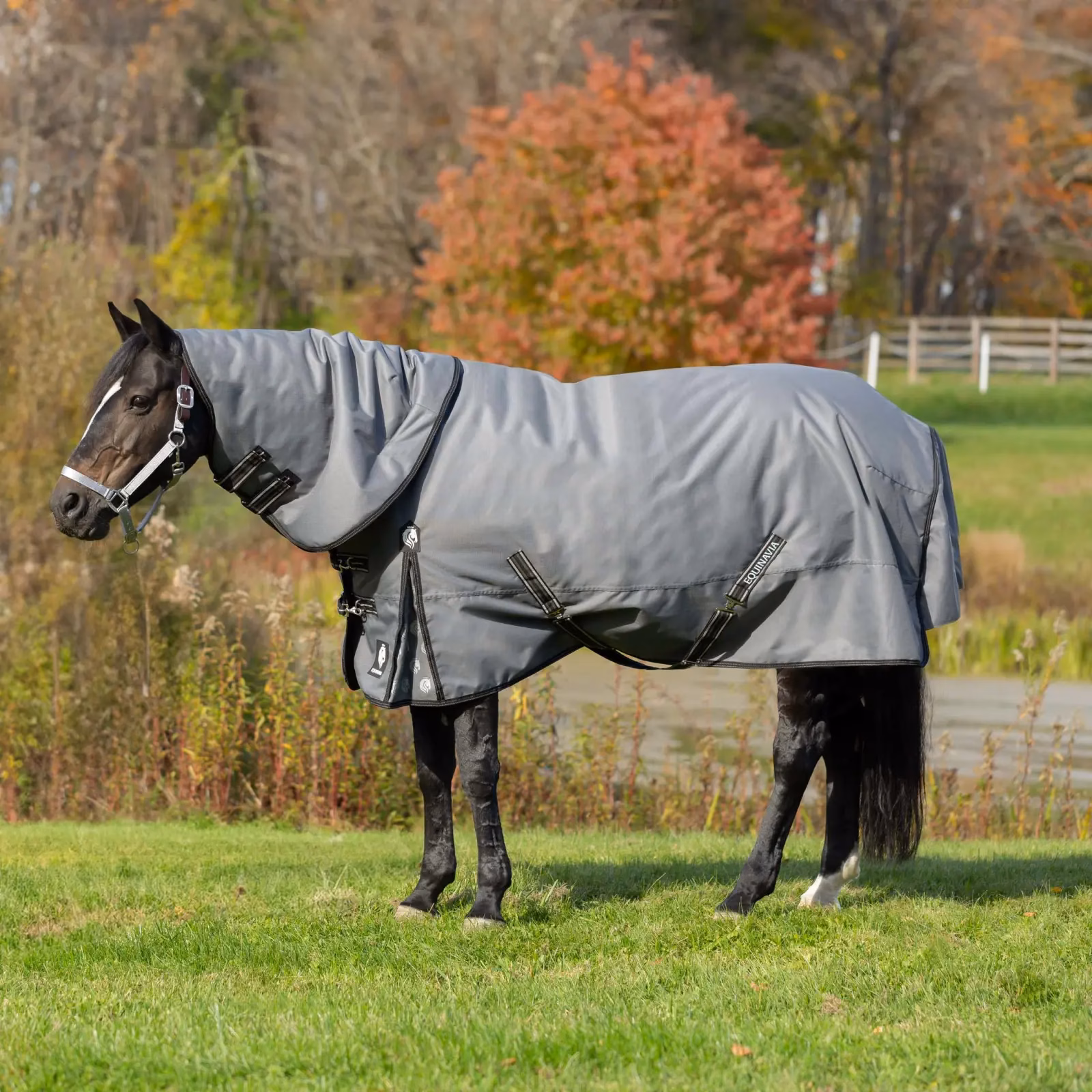 Equinavia Arktis Turnout Neck Cover