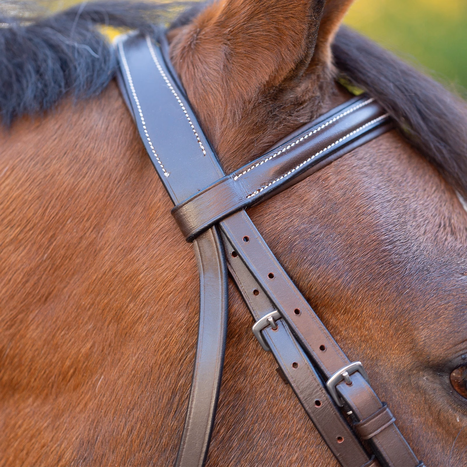 Equinavia Saga Wide Noseband Hunter Bridle with Reins
