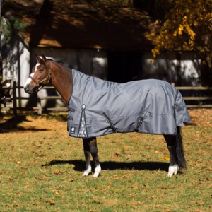 Equinavia Arktis Extended Neck Light Weight Turnout Blanket