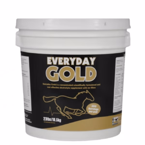 TRM Everyday Gold