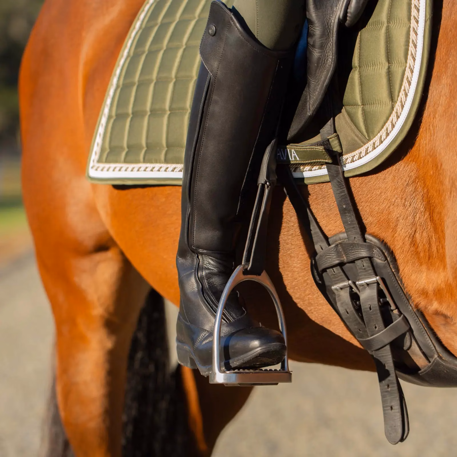 Equinavia Kassi Womens Sport Tall Boots