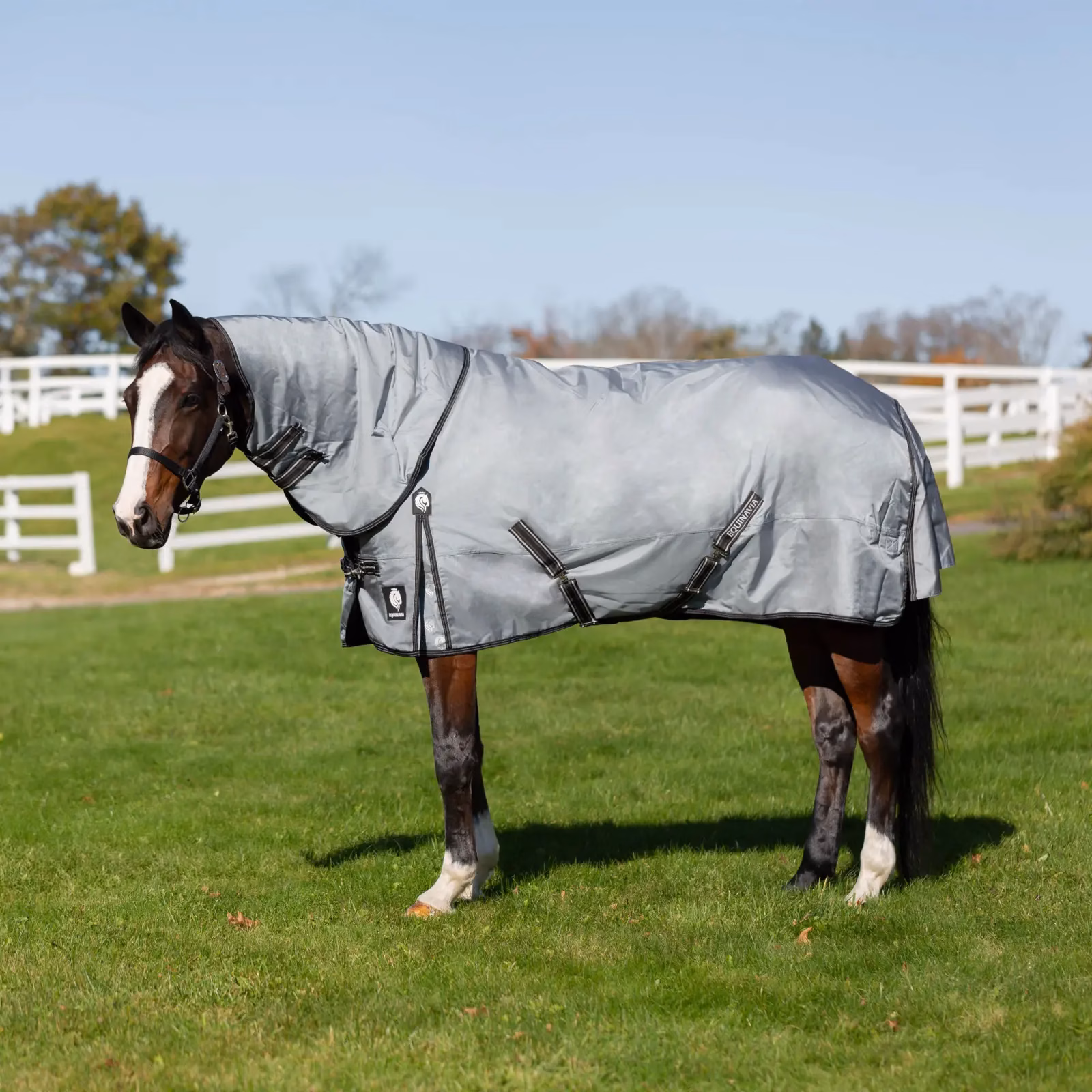 Equinavia Thunder 360 Detachable Neck Mid-Heavy Weight Turnout Blanket
