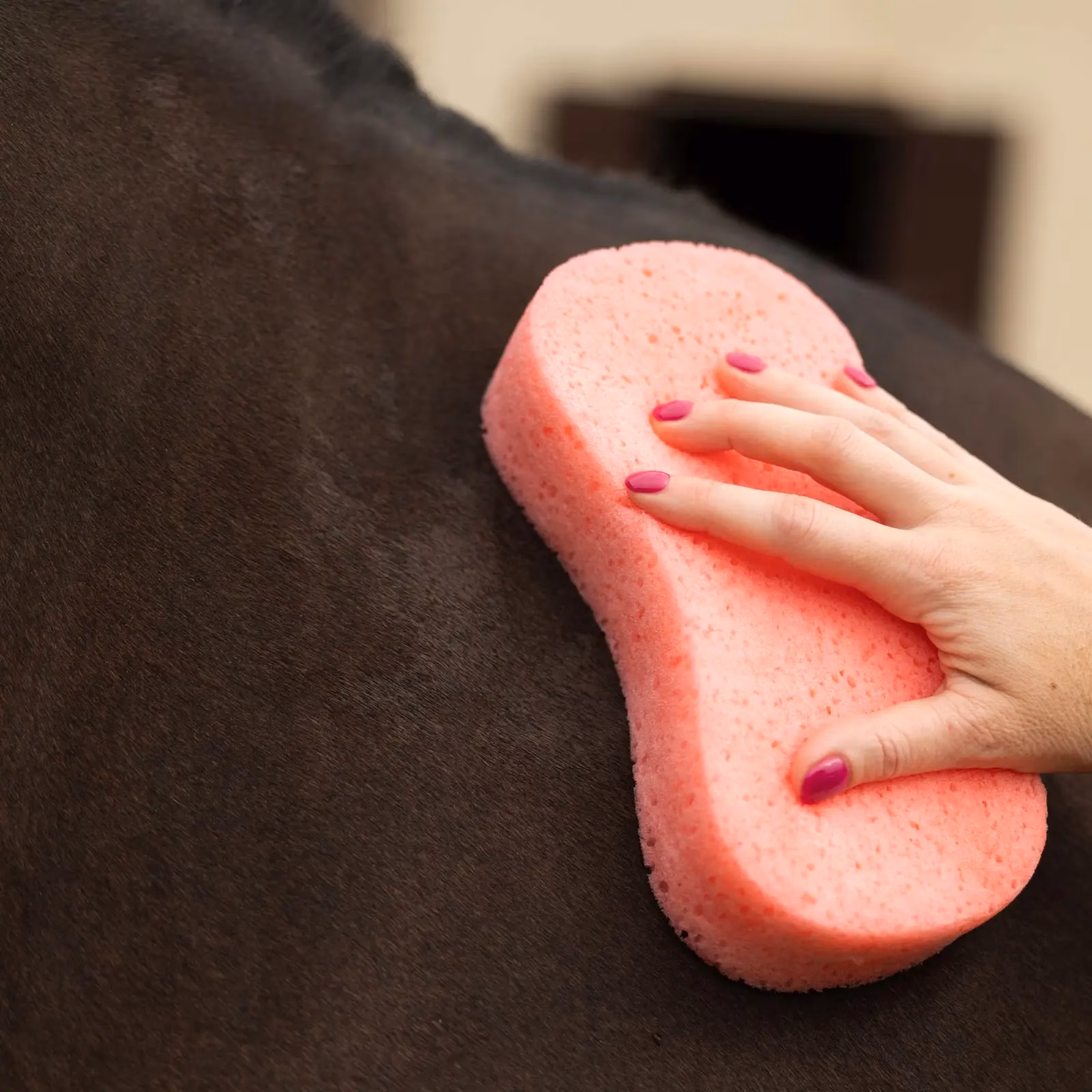 Horze Flat-Packed Sponge