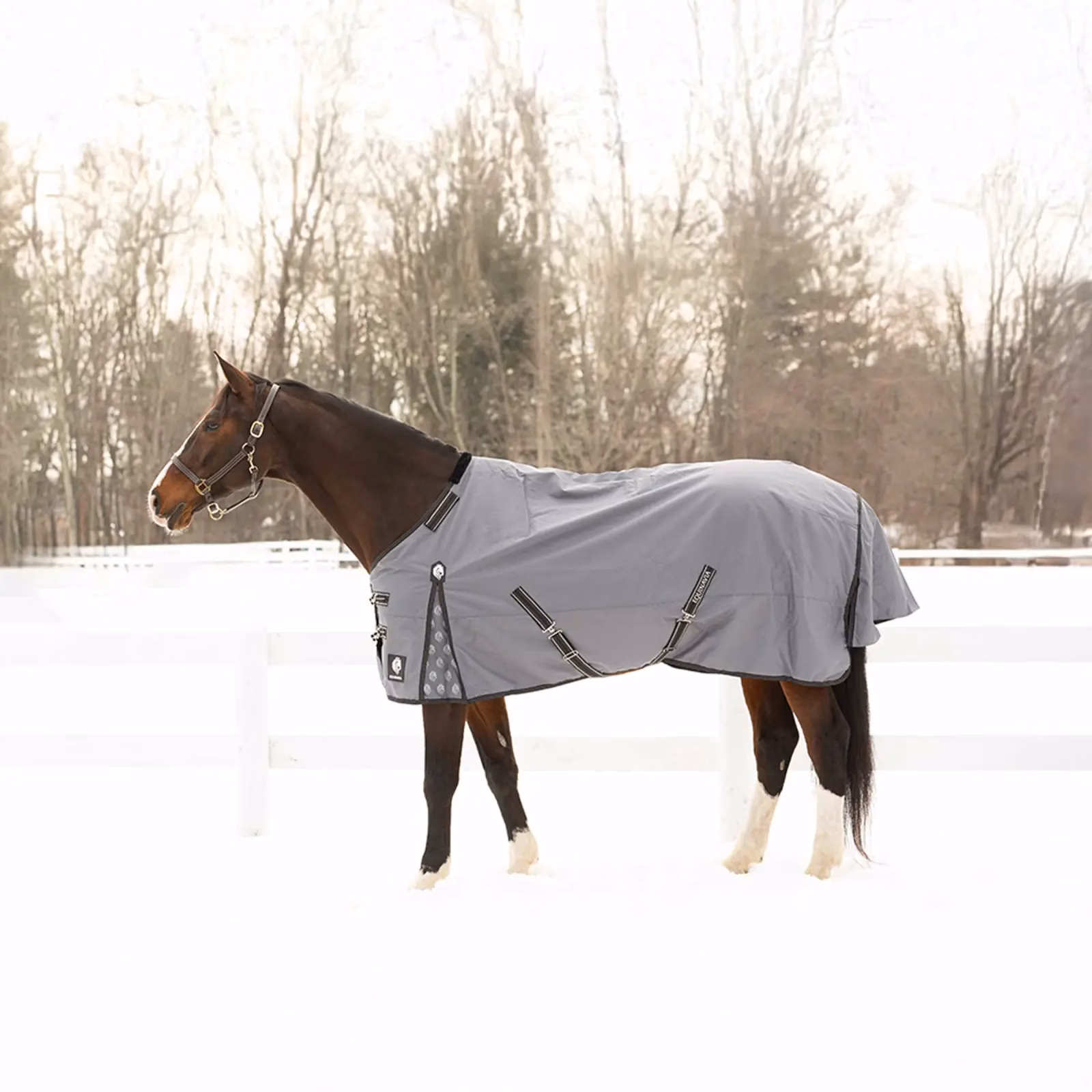Equinavia Arktis Regular Neck Mid-Heavy Weight Turnout Blanket