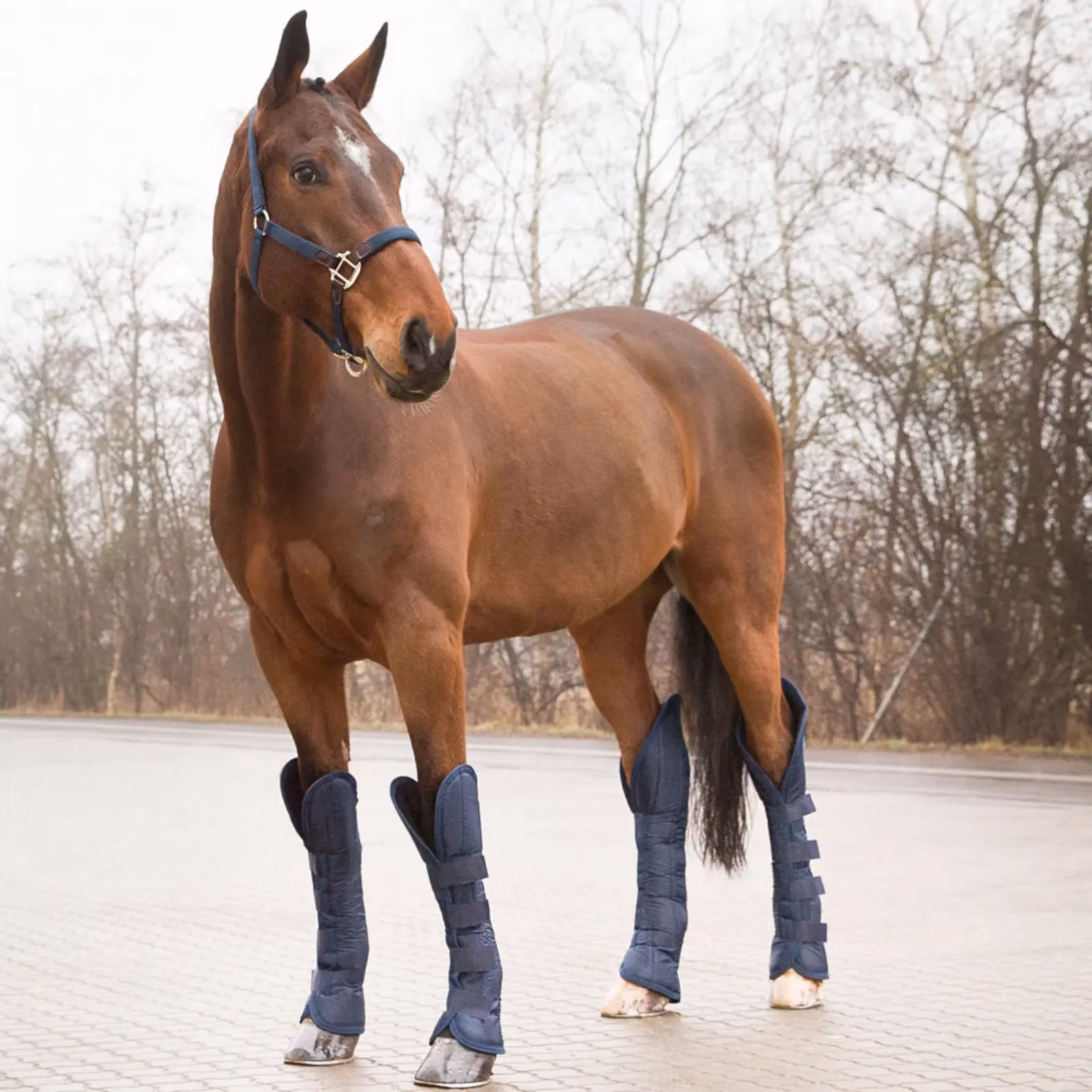 Horze Shipping Boots