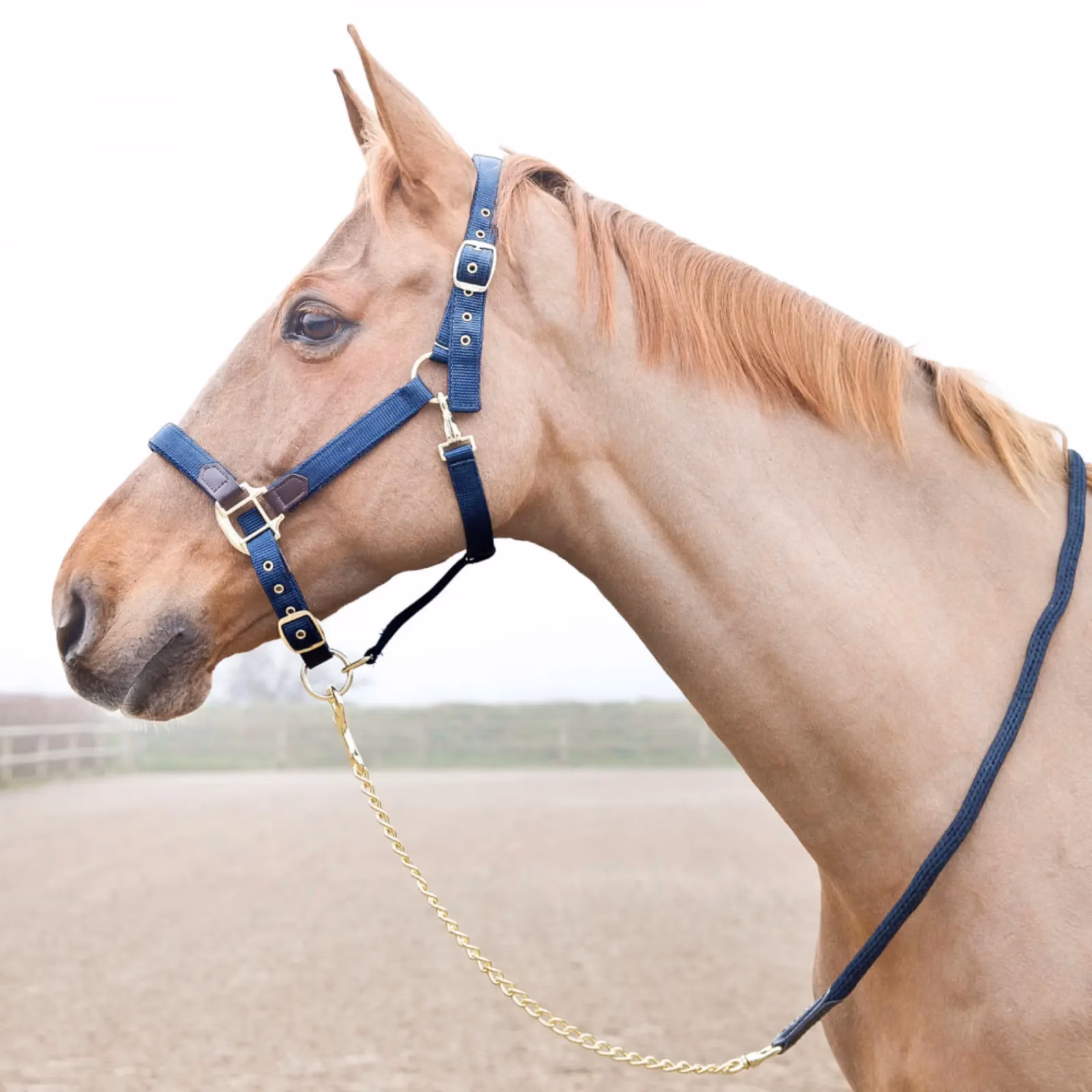 Horze Holbrook Lead Rope