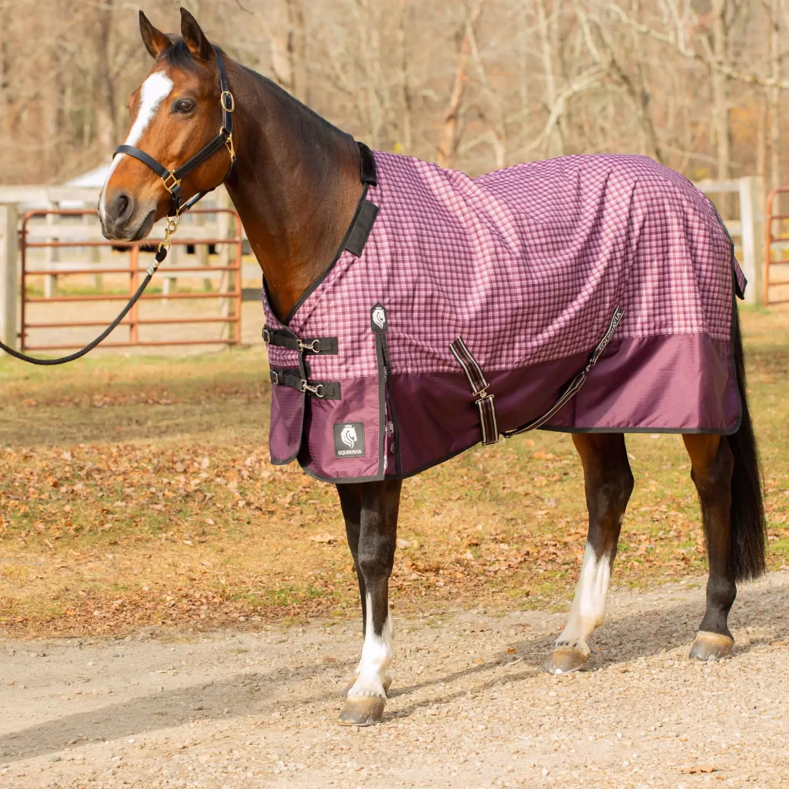 Equinavia Norse Lightweight Turnout Blanket