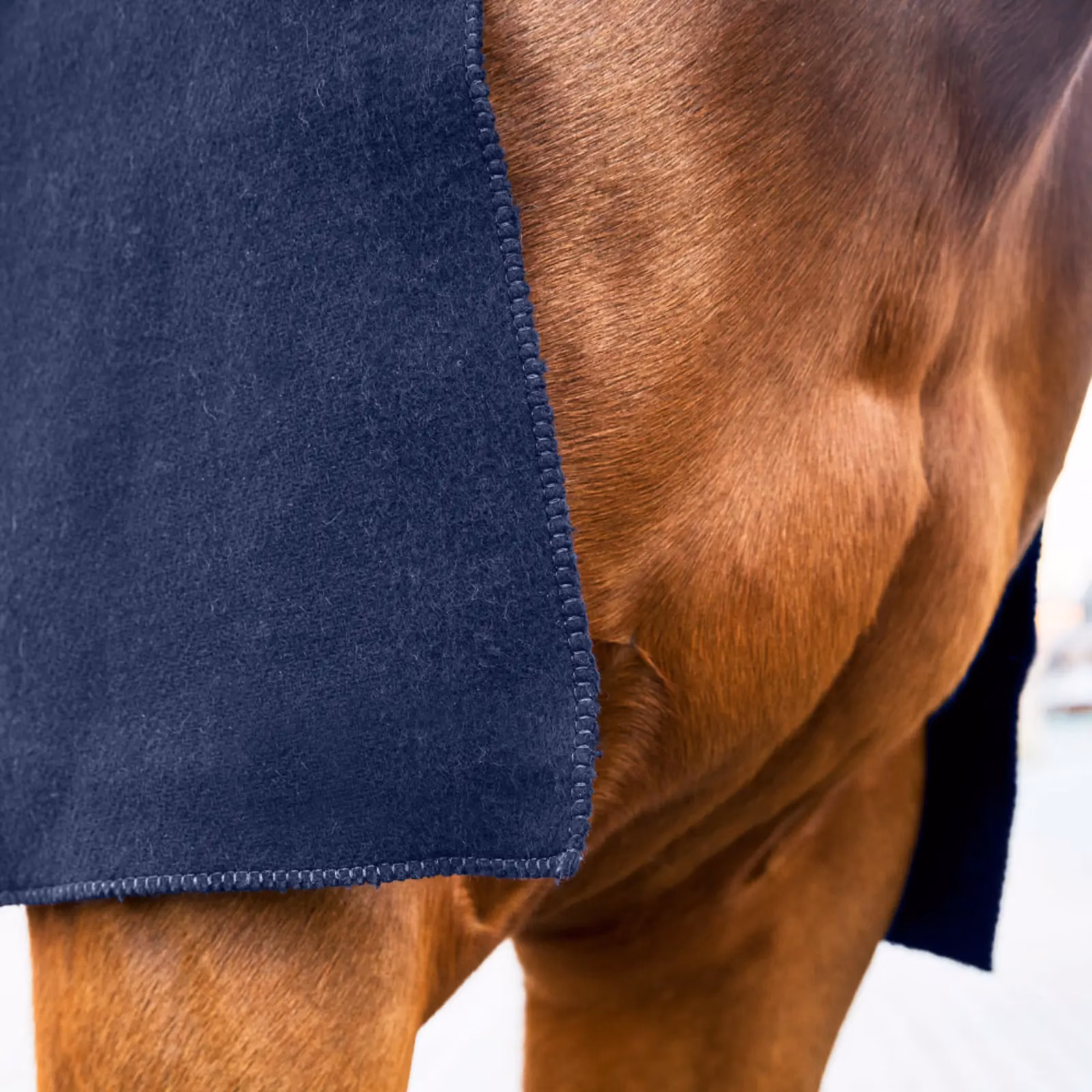 Horze Vail Square Wool Cooler