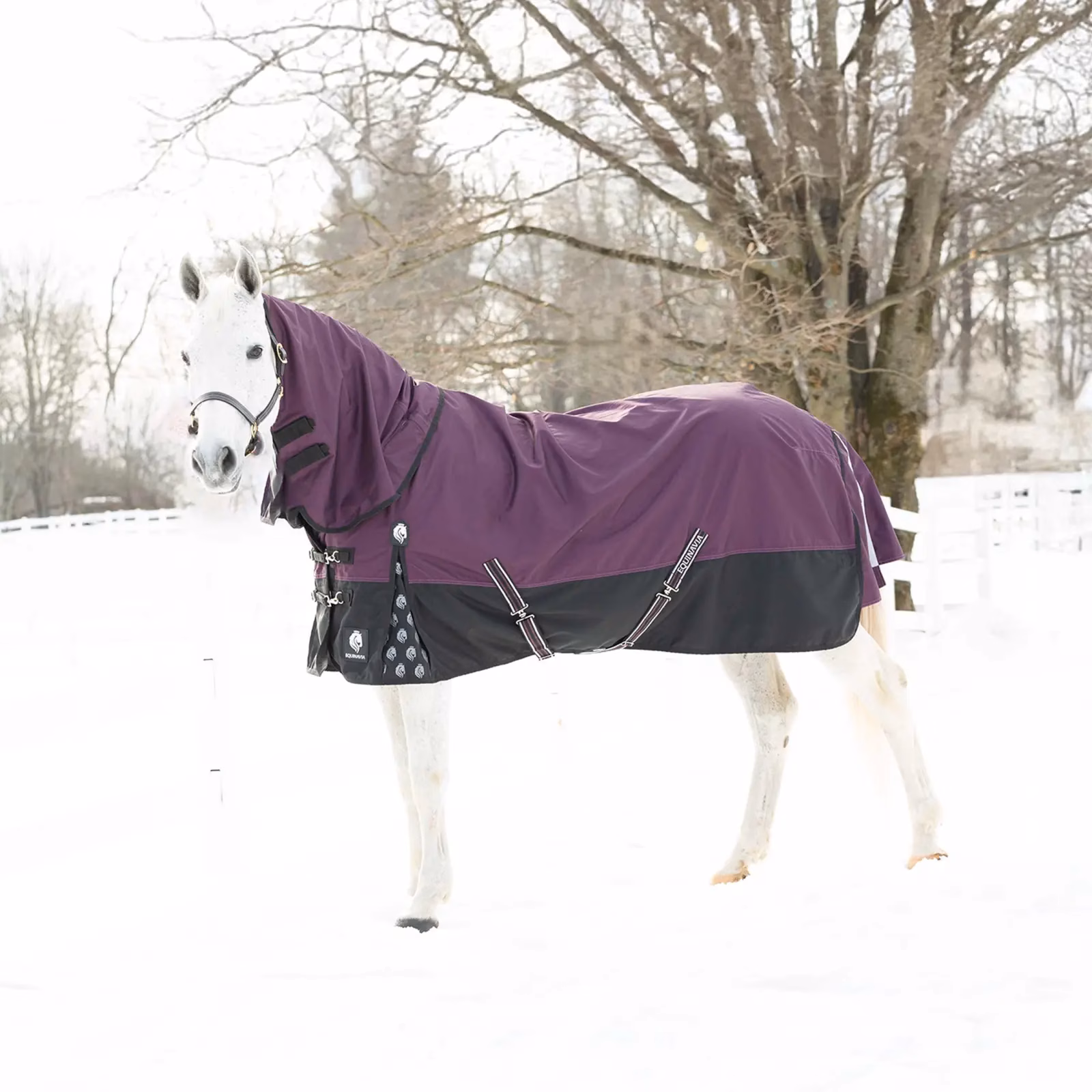 Equinavia Thunder 360 Detachable Neck Light Weight Turnout Blanket 100g