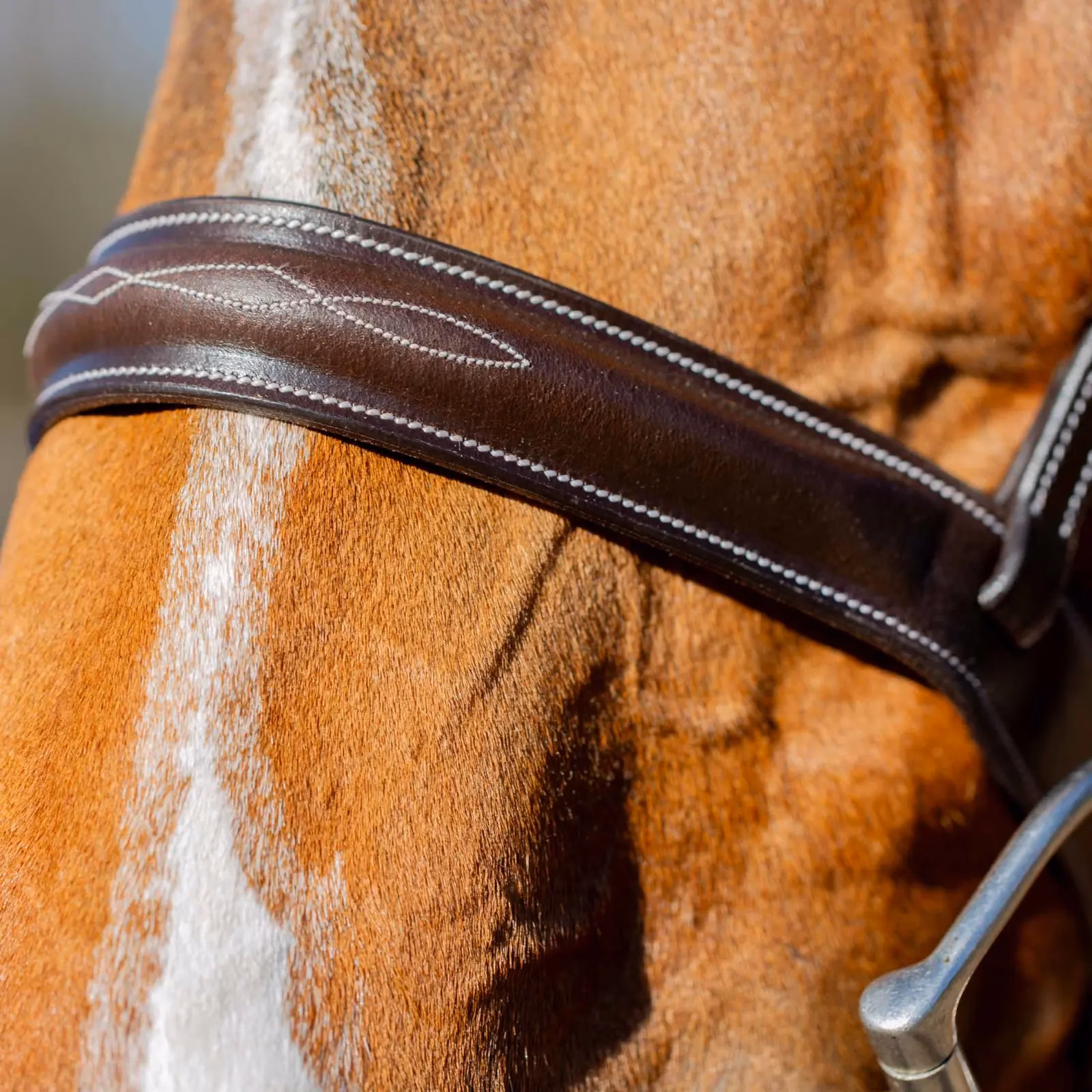 Equinavia Valkyrie Classic Wide Noseband Hunter Bridle with Reins