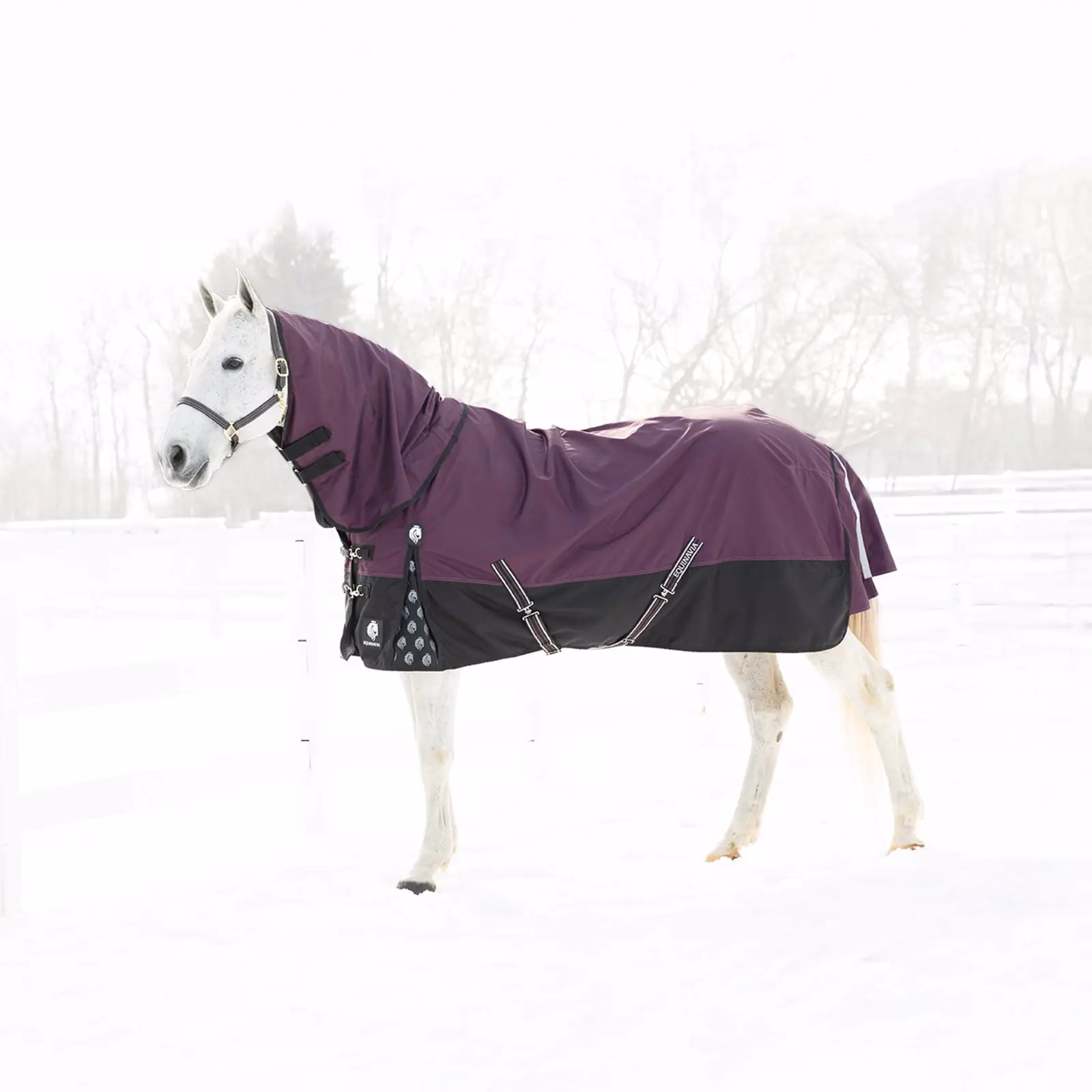 Equinavia Thunder 360 Detachable Neck Light Weight Turnout Blanket 100g