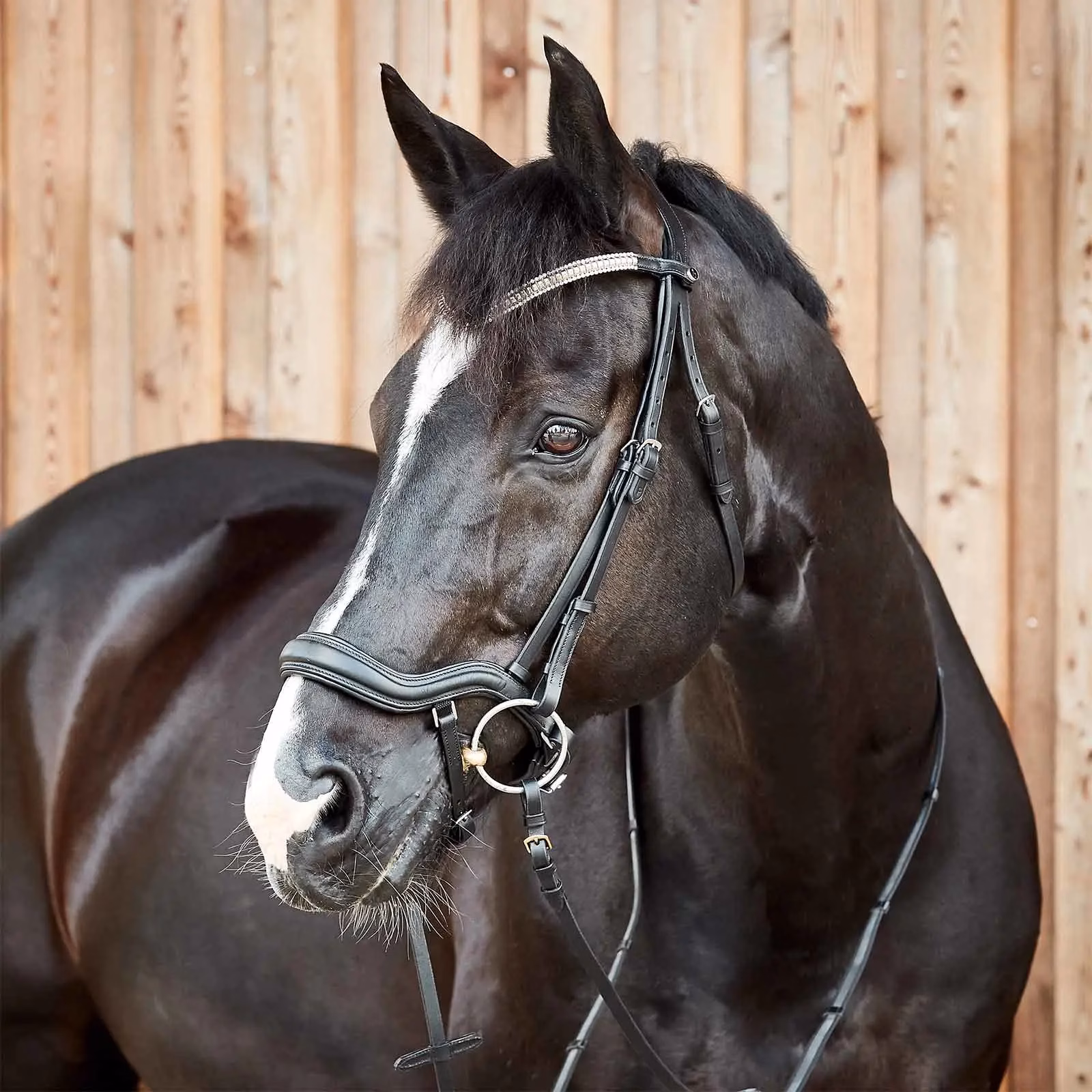 Horze Highbury Anatomical Crystal Dressage Bridle