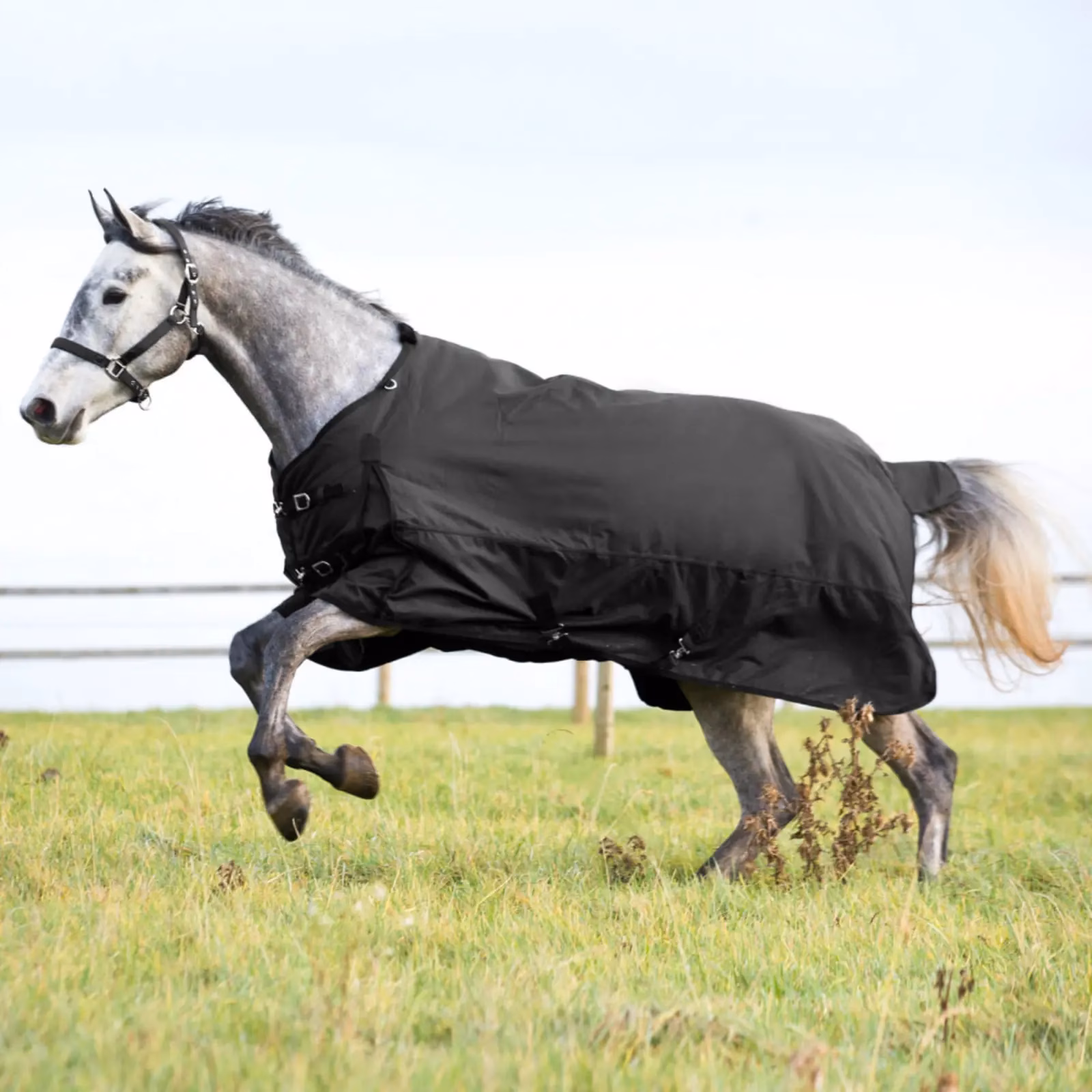 Horze Nevada Mid Weight Turnout Blanket 200g