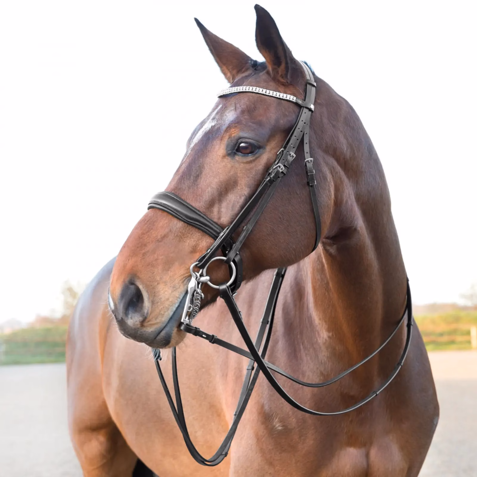 Horze Laelia Plain Leather Dressage Reins