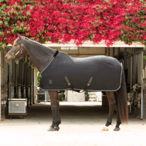 Equinavia Torr Quick Dry Cooler