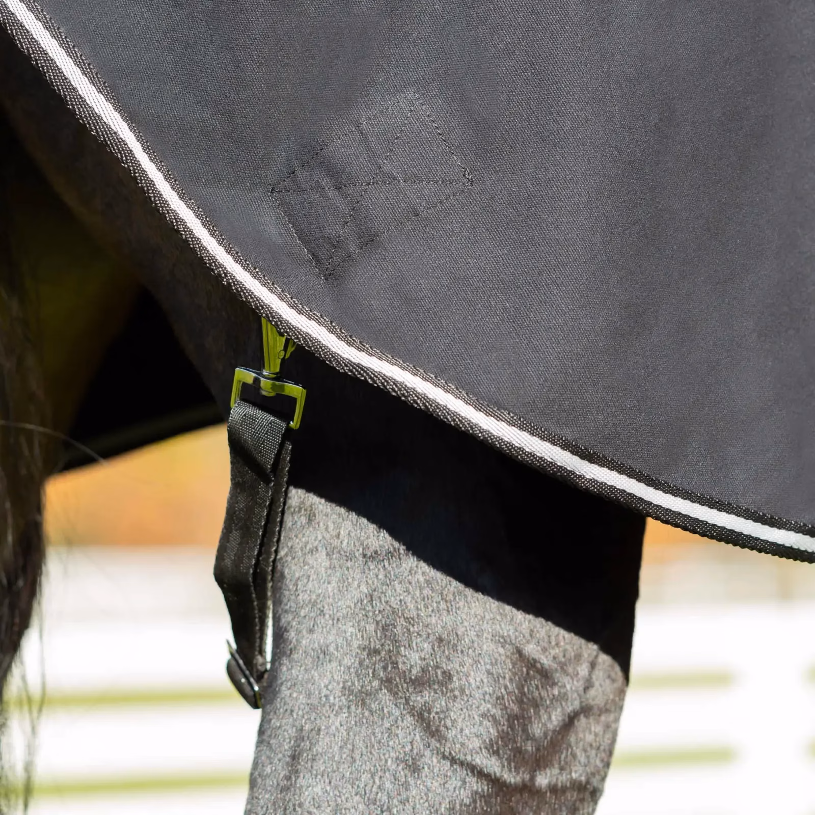 Equinavia Fryd Cotton Stable Sheet