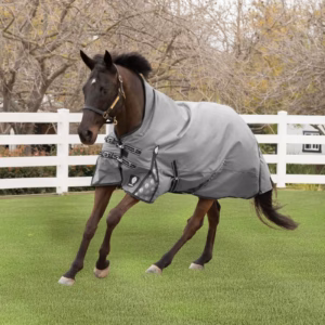 Equinavia Arktis Extended Neck Turnout Sheet