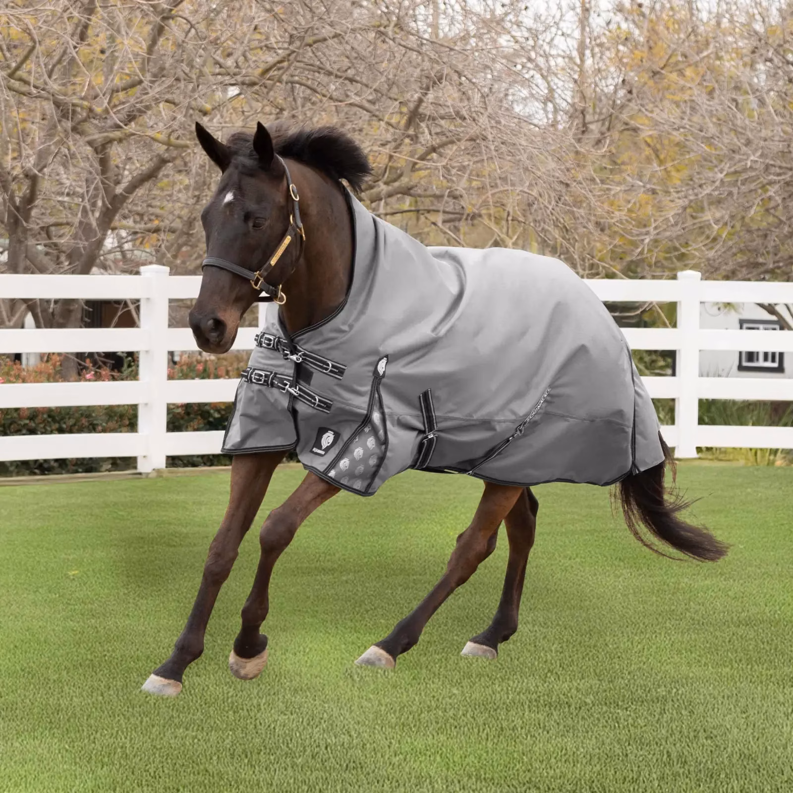 Equinavia Arktis Extended Neck Turnout Sheet