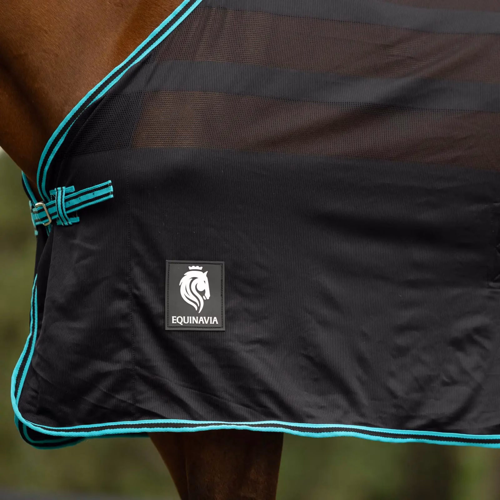 Equinavia Sefyr Scrim Sheet