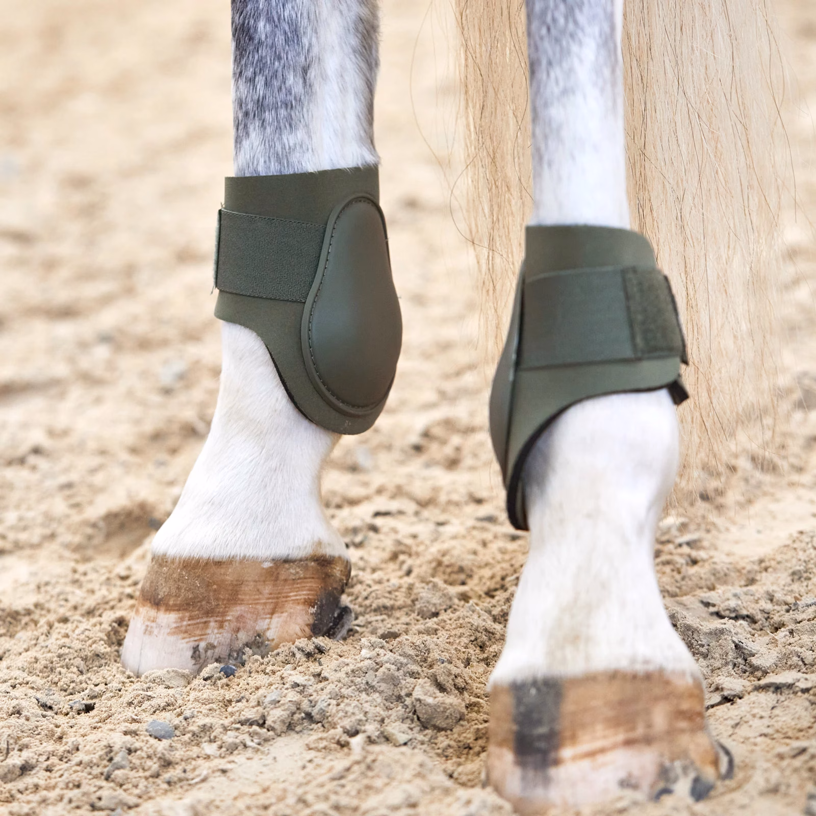 Horze Adepto Fetlock Boots