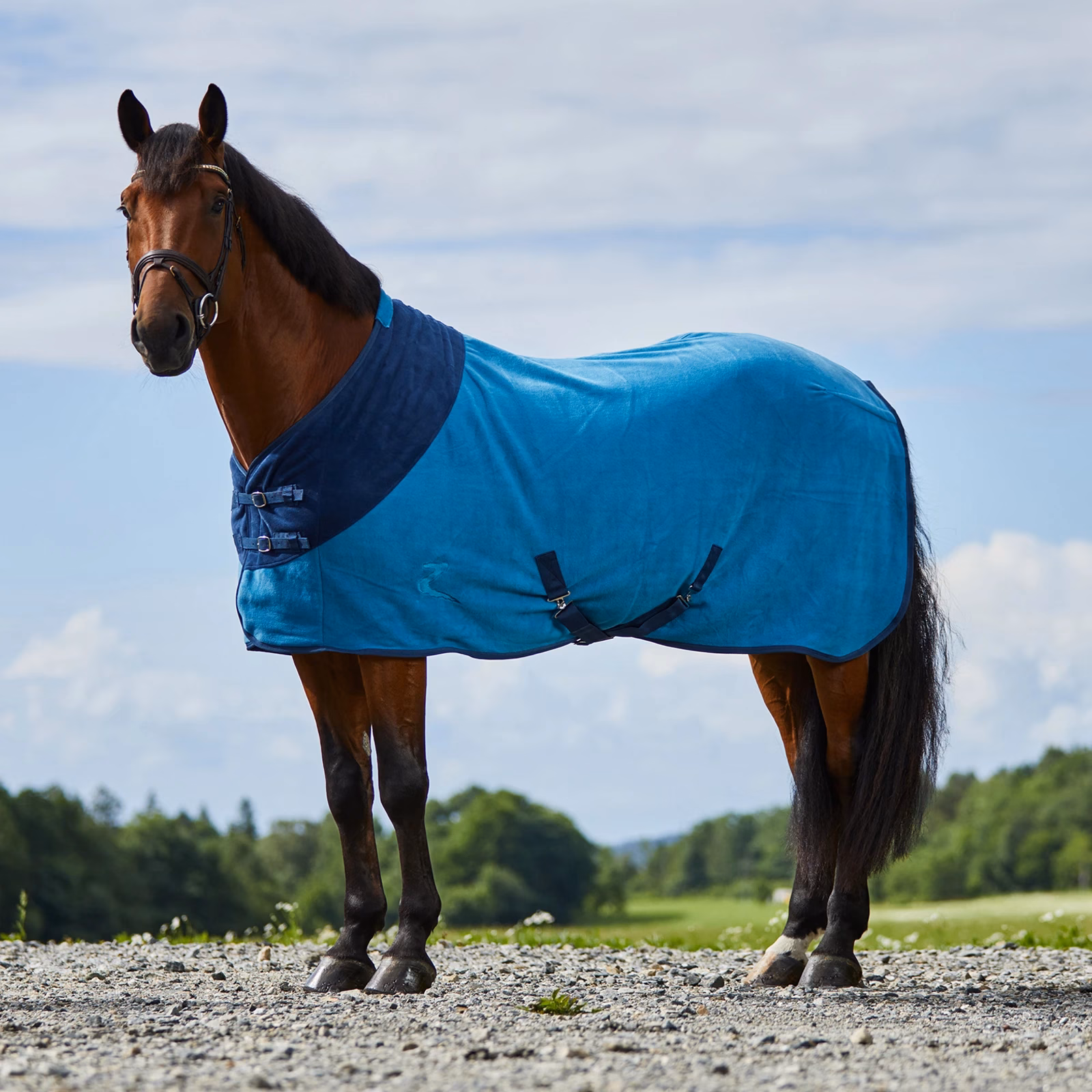 Horze Turin Fleece Blanket