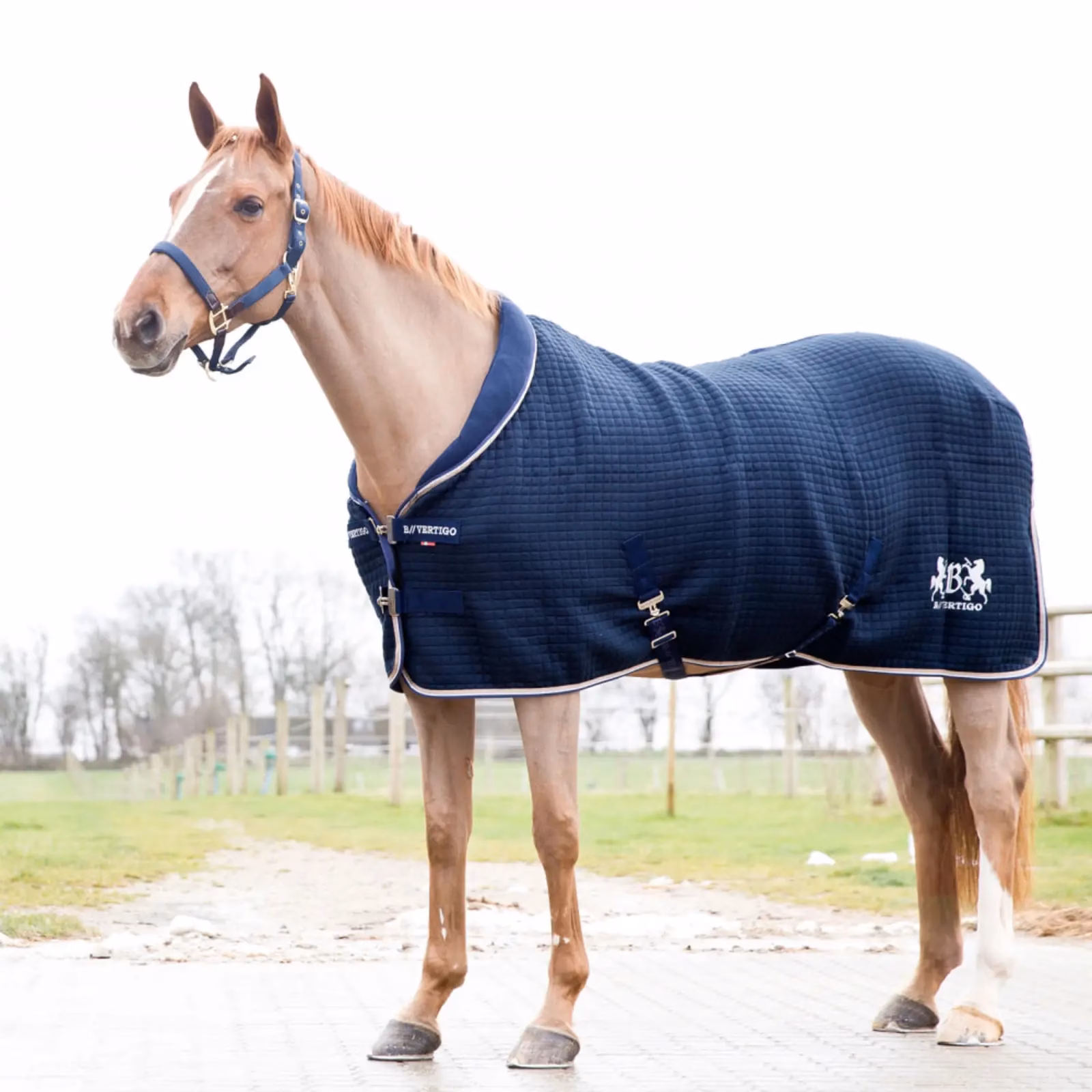 B Vertigo Theo Thermo Wool Mix Stable Blanket