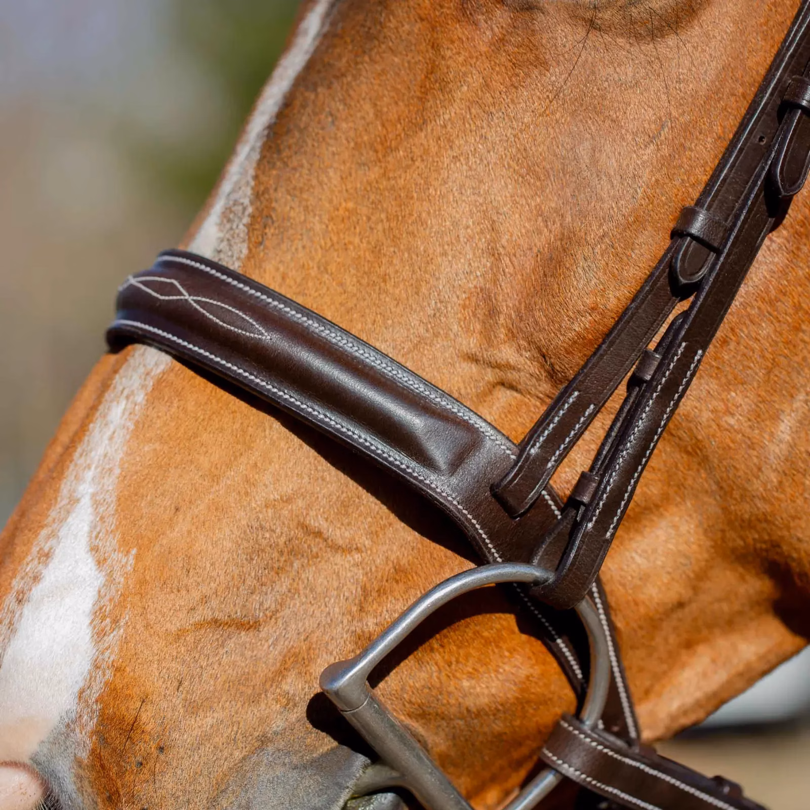 Equinavia Valkyrie Classic Wide Noseband Hunter Bridle with Reins
