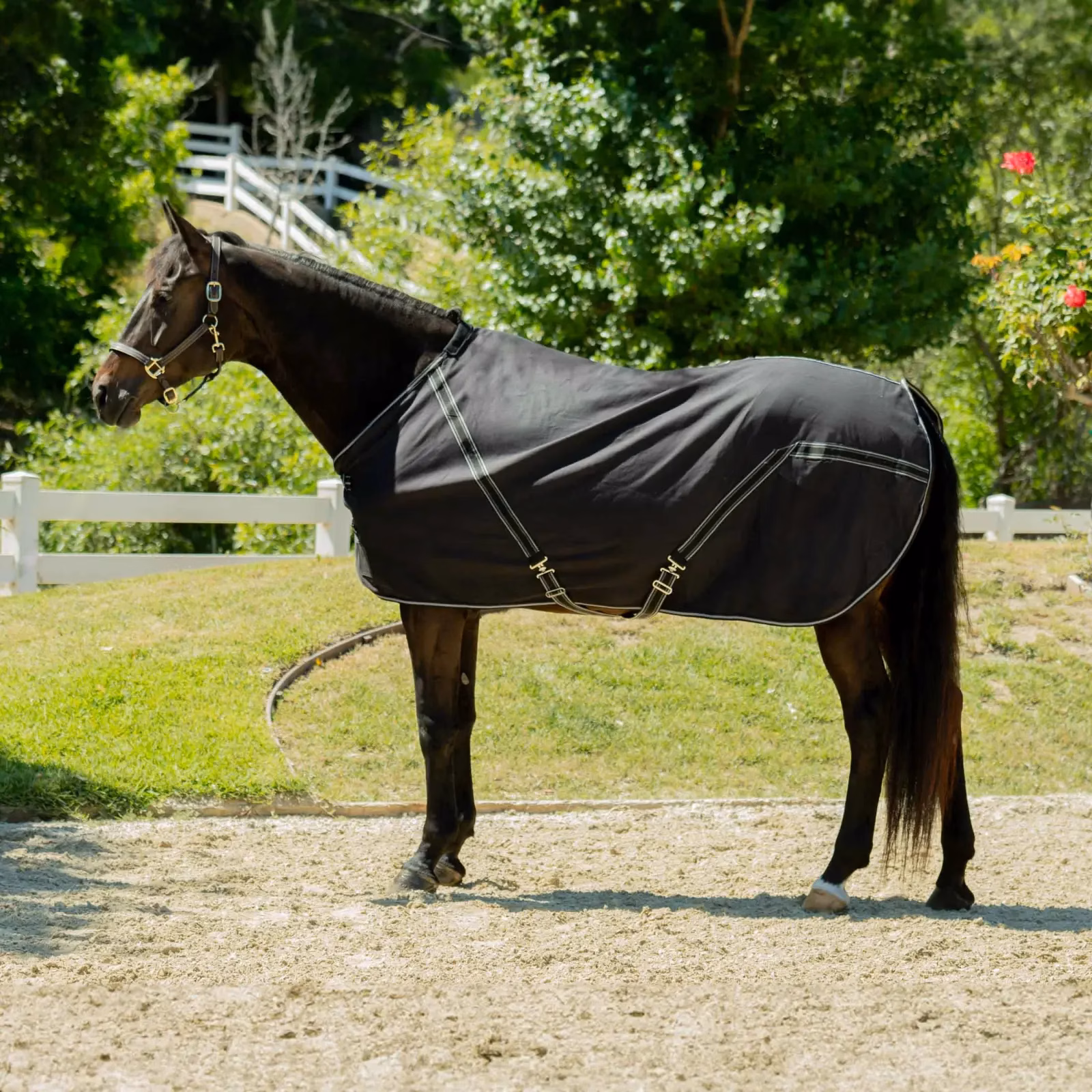 Equinavia Fryd Cotton Stable Sheet