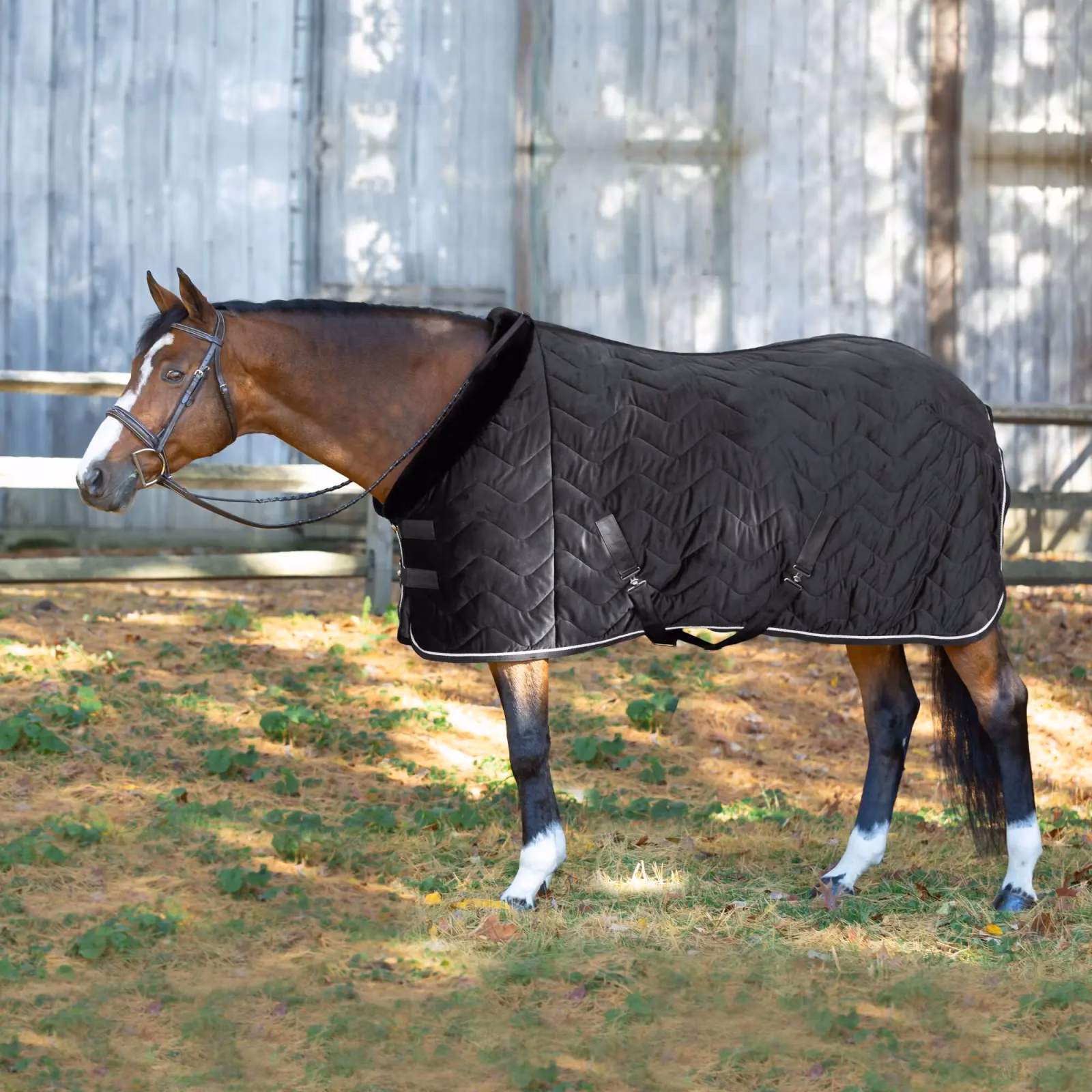 Equinavia Luksus Premium Cooler