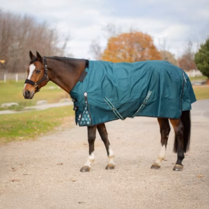 Equinavia Arktis Regular Neck Turnout Sheet