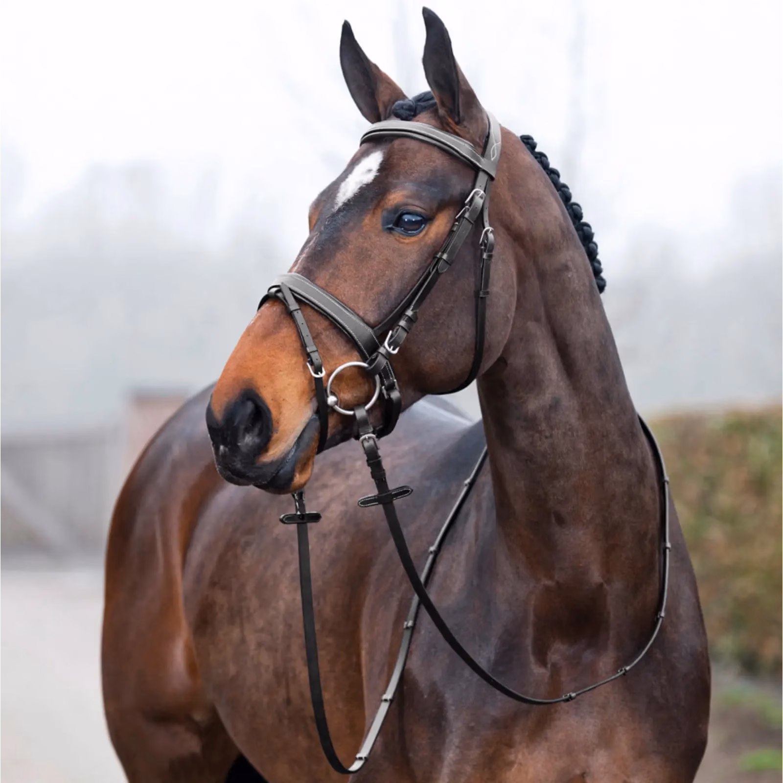 Horze Venice Soft Padded Bridle w/ Reins